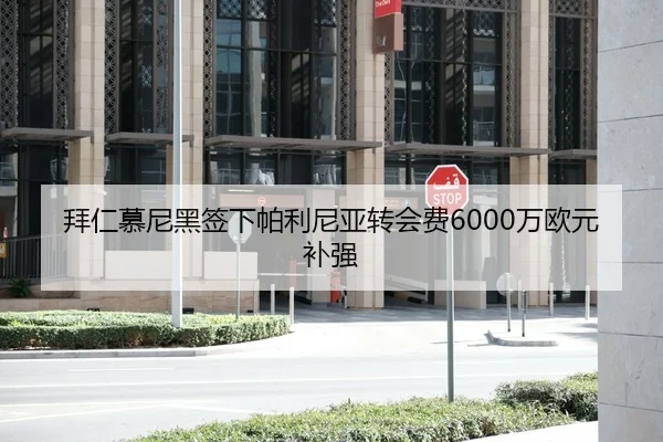 拜仁慕尼黑签下帕利尼亚转会费6000万欧元补强