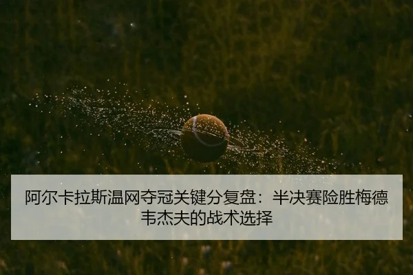 a-er-ka-la-si-wen-wang-duo-guan-guan-jian-fen-fu-pan-ban-jue-sai-xian-sheng-mei-de-wei-jie-fu-de-zhan-shu-xuan-ze-3-988.jpg
